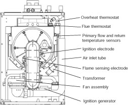 Alpha CD13R-7