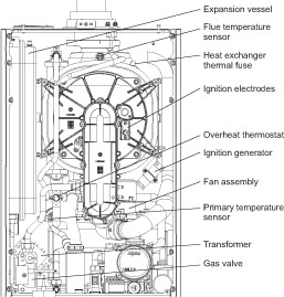 Alpha CD28X-3