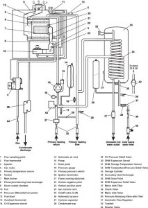 Alpha CD50-2